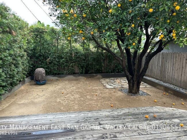 5212 Mt Helena Ave in Los Angeles, CA - Building Photo - Building Photo