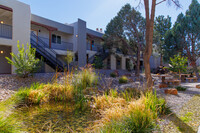 Brio Sandia in Albuquerque, NM - Foto de edificio - Building Photo