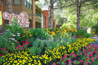 Quincy Ridge Apartments in Aurora, CO - Building Photo - Building Photo