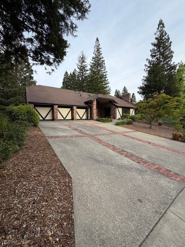 property at 2406 Alamo Glen Dr