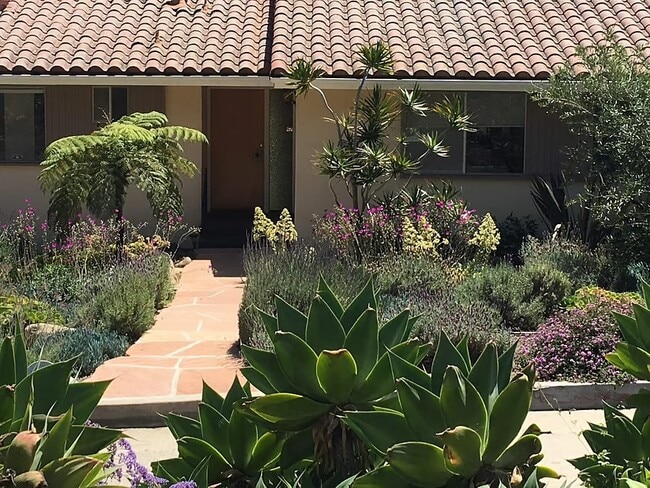 property at 911 Paseo Ferrelo