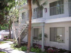 Shawnwood Forest Apartments in Chula Vista, CA - Building Photo - Building Photo