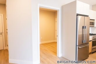 249 Corey Rd in Boston, MA - Building Photo - Building Photo
