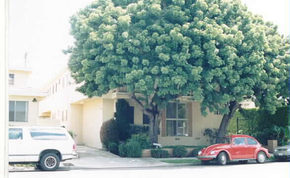 1672 Colby Ave in Los Angeles, CA - Building Photo - Building Photo