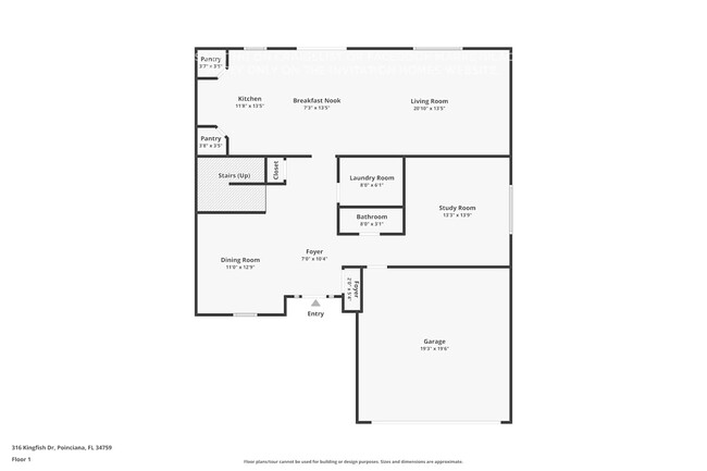 316 Kingfish Dr in Kissimmee, FL - Foto de edificio - Building Photo