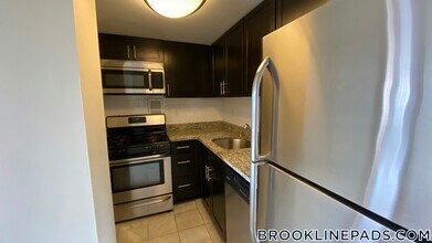 175 Freeman St. in Brookline, MA - Building Photo - Building Photo