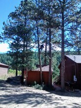 120 Wisp Creek Dr, Unit Tree Top in Bailey, CO - Building Photo - Building Photo
