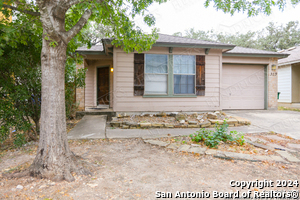 319 Amberdale Oak in San Antonio, TX - Building Photo