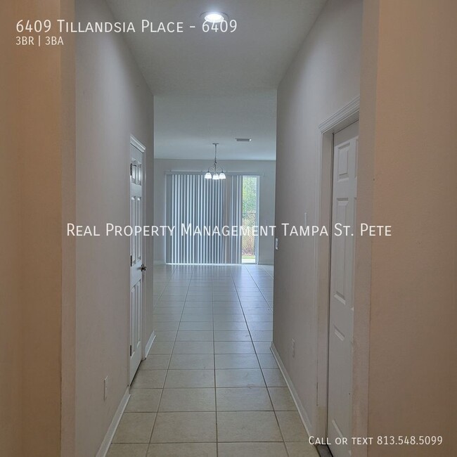 6409 Tillandsia Pl in Tampa, FL - Building Photo - Building Photo