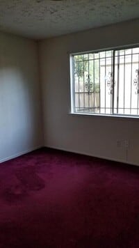 13047 Bacard Ln photo'