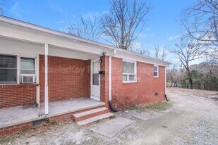 208 E Geer St in Durham, NC - Building Photo