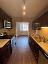 430 E Ohio St in Chicago, IL - Building Photo - Building Photo