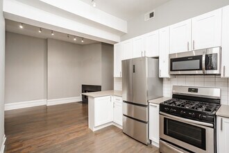 46 E Chicago Ave in Chicago, IL - Building Photo - Building Photo