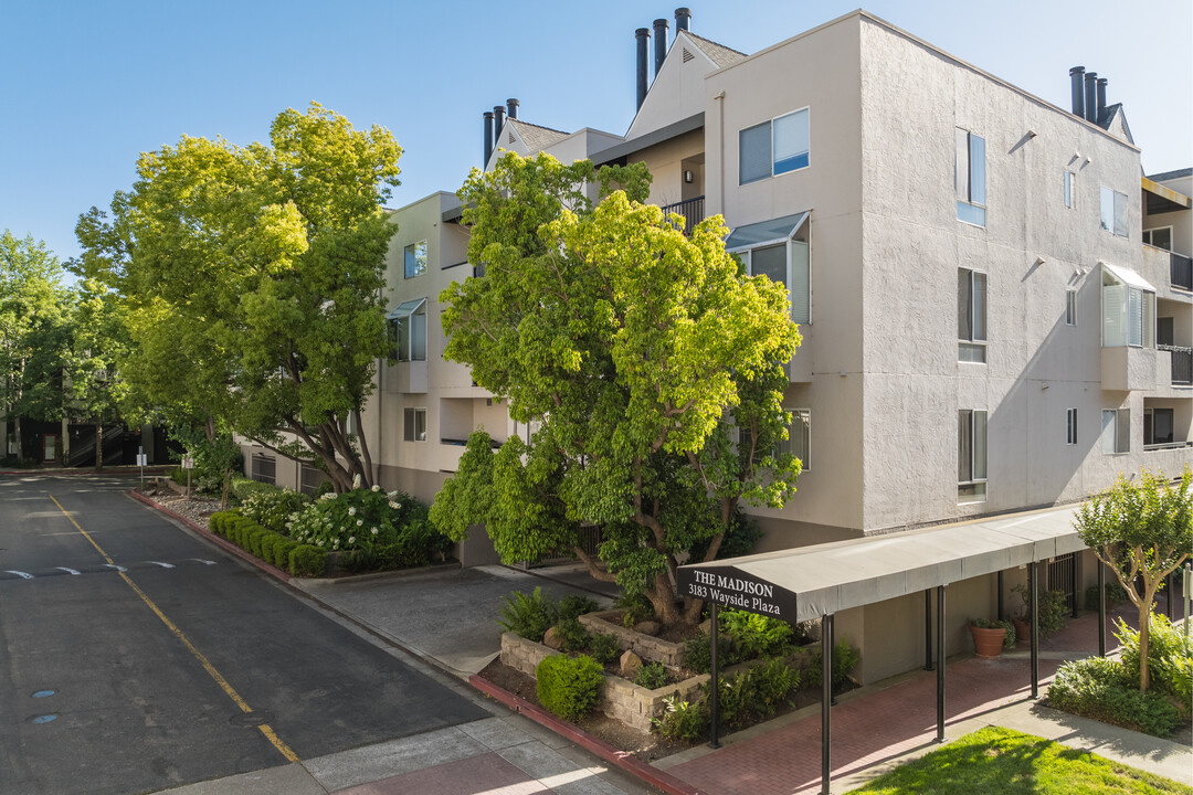 The Madison in Walnut Creek, CA - Foto de edificio