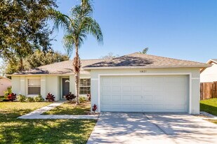 11837 Windflower Ct in Clermont, FL - Building Photo