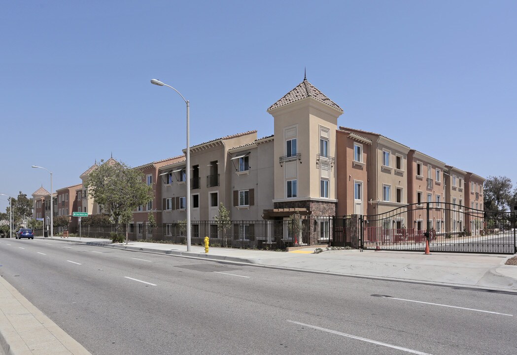 Terracina Apartments in Los Angeles, CA - Building Photo