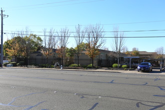 Spring Meadows Apartments in Santa Rosa, CA - Building Photo - Building Photo