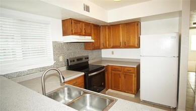 2428 Sunflower Dr in Arlington, TX - Building Photo - Building Photo