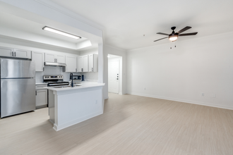 Stetson Apartments in Austin, TX - Building Photo - Building Photo