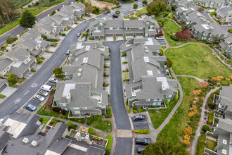 Village in the Park in Daly City, CA - Building Photo - Building Photo