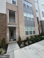 2630 Neabsco Common Pl in Woodbridge, VA - Building Photo