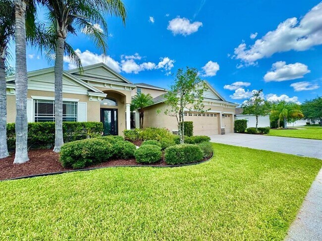 10530 Palm Cove Ave in Tampa, FL - Building Photo - Building Photo