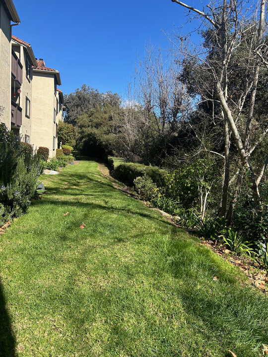 3503 Caminito Sierra in Carlsbad, CA - Building Photo