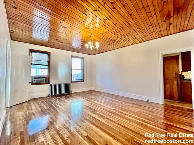 234 Cypress St, Unit 1 in Brookline, MA - Foto de edificio - Building Photo