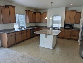 19046 Randolph Pl in Denver, CO - Building Photo - Building Photo