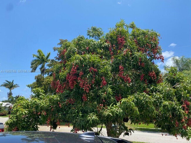 1251 SW 11th Terrace in Boca Raton, FL - Building Photo - Building Photo