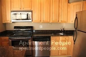 1355 N Sandburg Terrace-Unit -1202 in Chicago, IL - Building Photo - Building Photo