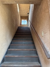 247 Juniper Ave in Carlsbad, CA - Building Photo - Building Photo