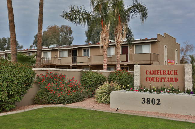 Camelback Courtyard photo'