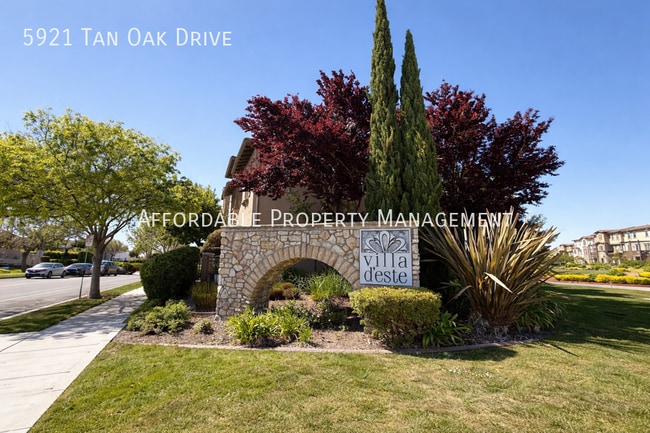 5921 Tan Oak Dr in Fremont, CA - Building Photo - Building Photo