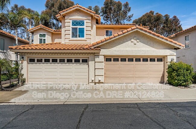 property at 12452 Caminito Brioso