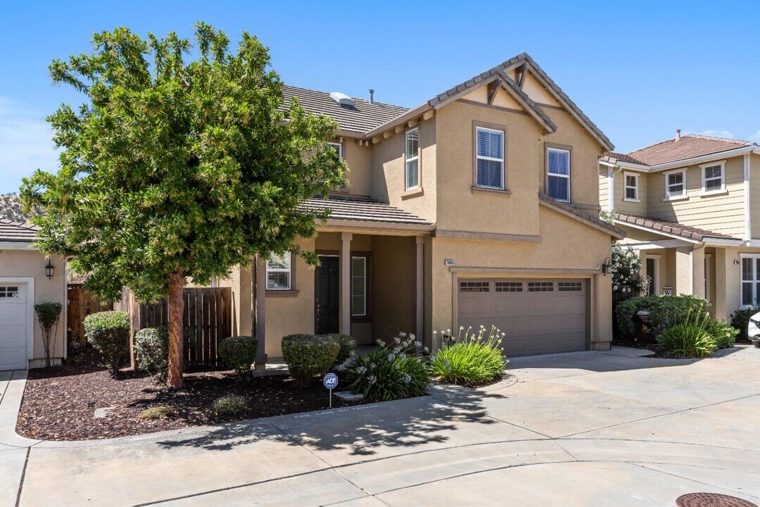 20863 Grapevine Dr in Patterson, CA - Building Photo