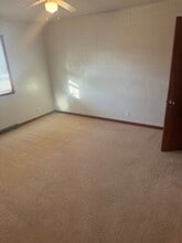 307 W 2nd Pl in Spring Valley, IL - Foto de edificio - Building Photo
