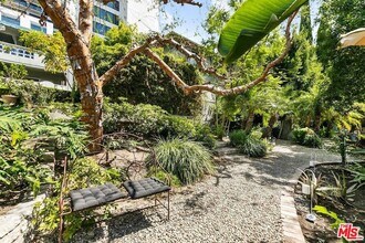 1323 N Olive Dr in West Hollywood, CA - Building Photo - Building Photo