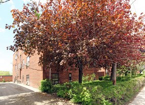 1008 O'connor Dr in Toronto, ON - Building Photo
