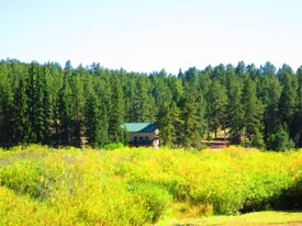 15729 Pine Lake Dr in Woodland Park, CO - Building Photo