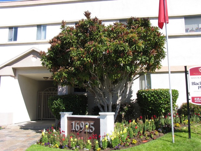 Blackhawk Place in Granada Hills, CA - Foto de edificio - Building Photo