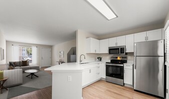 Peachtree Park in Atlanta, GA - Building Photo