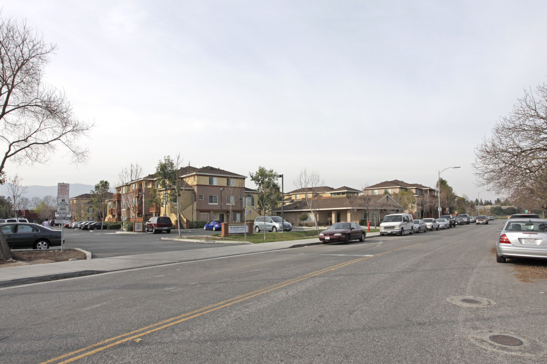 Blossom River in San Jose, CA - Foto de edificio