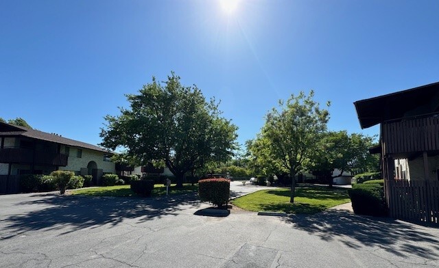 El Sereno Apartments in Chico, CA - Building Photo - Building Photo