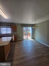 13 Denny Cir in Newark, DE - Building Photo - Building Photo