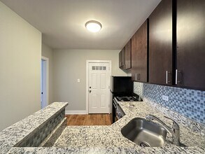 2917 N Mildred Ave in Chicago, IL - Building Photo - Building Photo