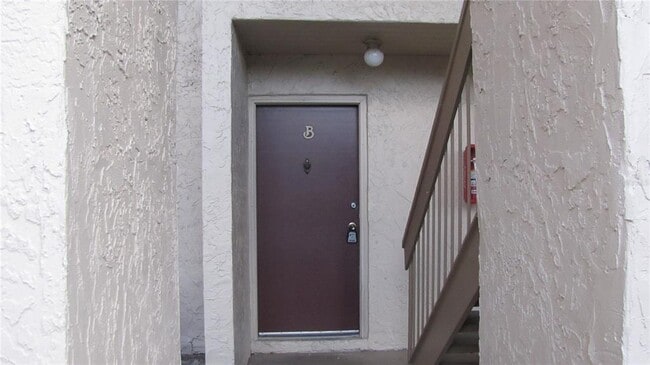 7506 Needle Leaf Pl in Tampa, FL - Building Photo - Building Photo