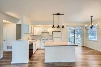 640 Gooseberry Dr in Longmont, CO - Building Photo - Building Photo