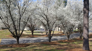 Lakeview Garden Homes in Union, SC - Building Photo - Building Photo