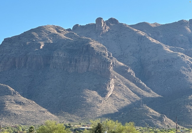 6651 N Campbell Ave in Tucson, AZ - Building Photo - Building Photo
